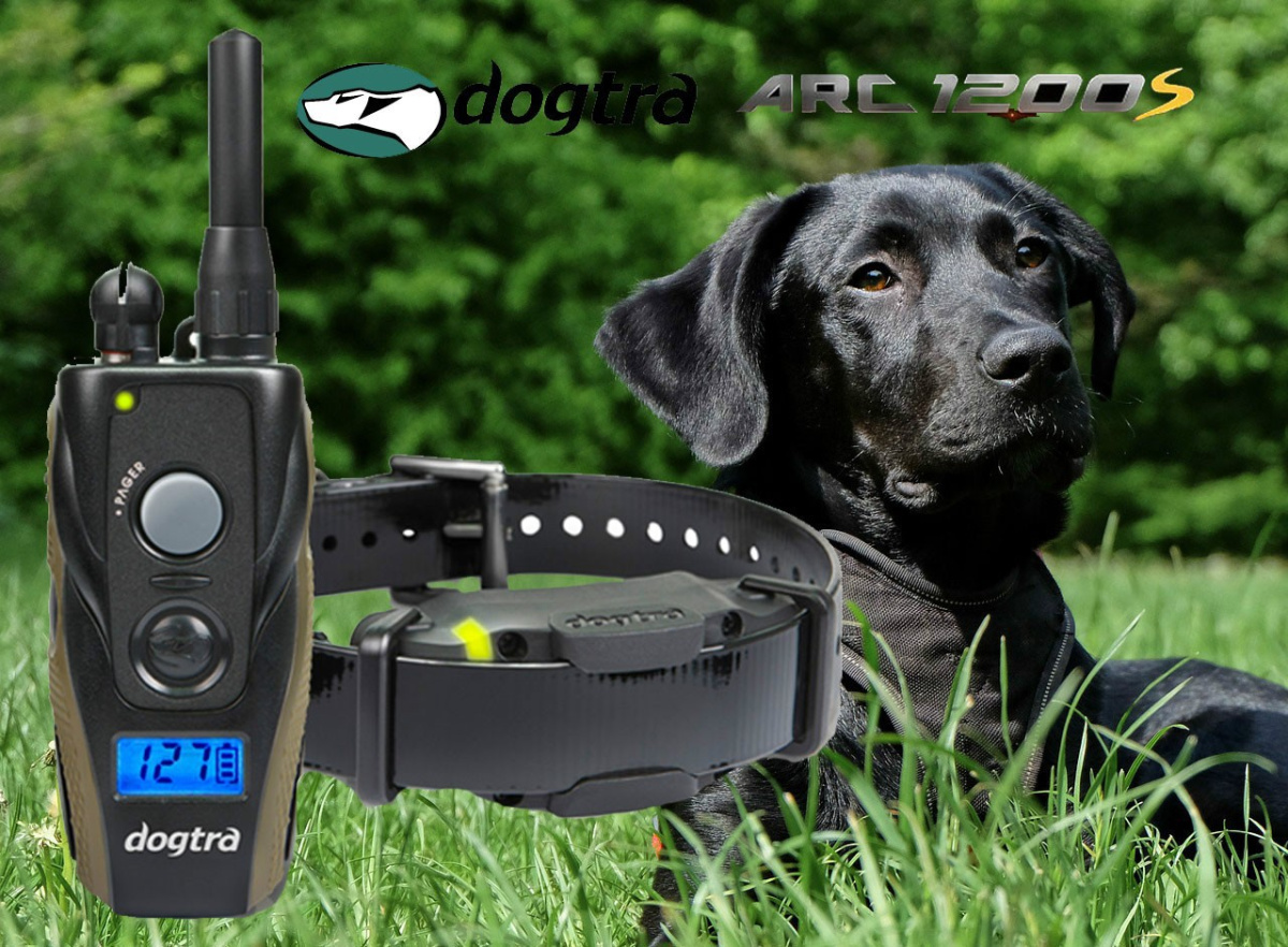 Dogtra arc 1200 best sale